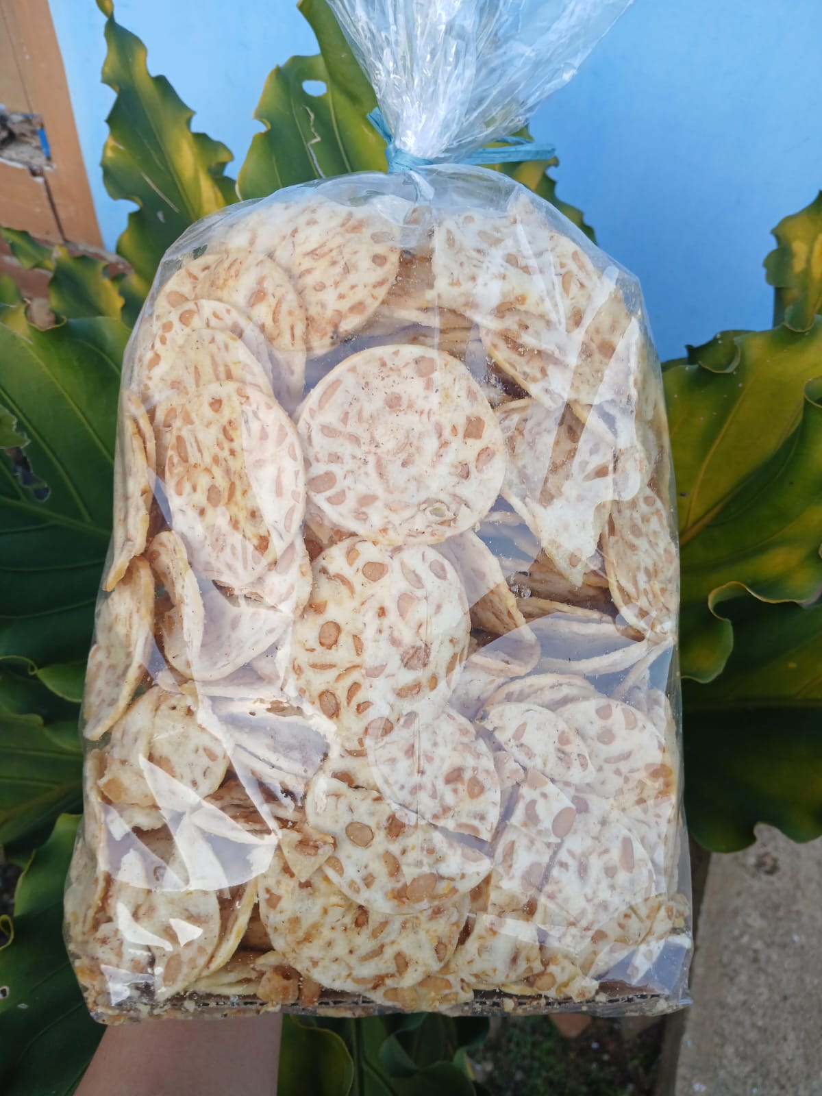 Keripik Tempe